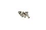 M2x4 Cap head screw silver