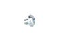 Walbro Carburettor Butterfly Valve Retaining Screw. 1pc
