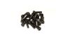 Truck Wheel Screws (20pcs)