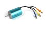 BlackZon Slyder Turbo Brushless Motor 2435 3800KV