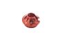 Alloy Suspension Pedestal Red