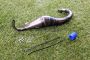 VRC Pro Side Unsilenced Exhaust Pipe