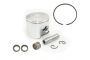 Piston Kit (29cc)