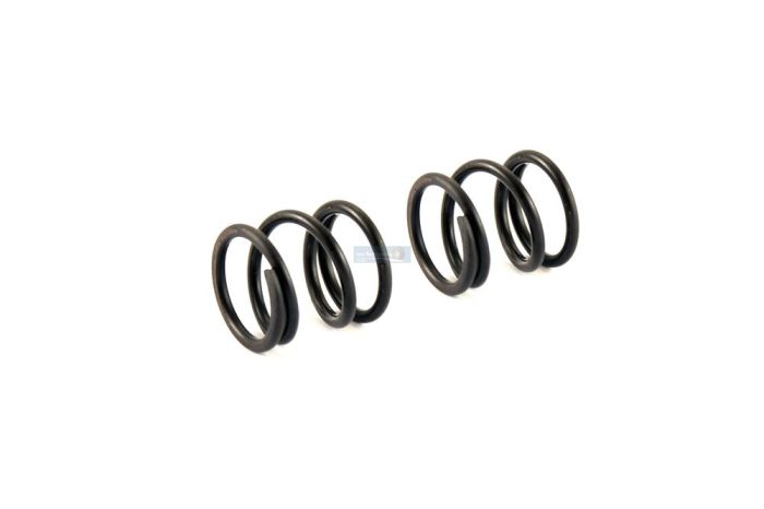 KM X2 Steering Servo Saver Tube Spring 2pc