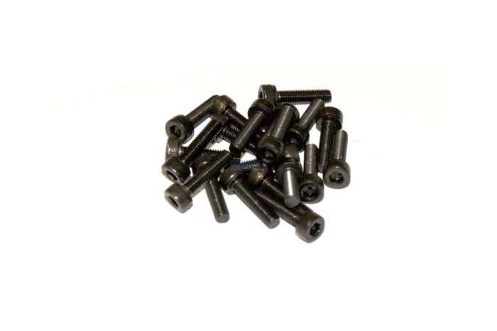 Truck Wheel Screws (20pcs)